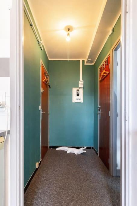 טולוז Double Appartement, Saint Michel, Parking, Wifi מראה חיצוני תמונה
